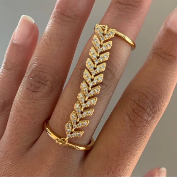 Chained Double ring - Picture 1 of 3